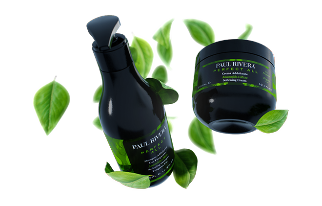 Paul Rivera - PERFECT ALL